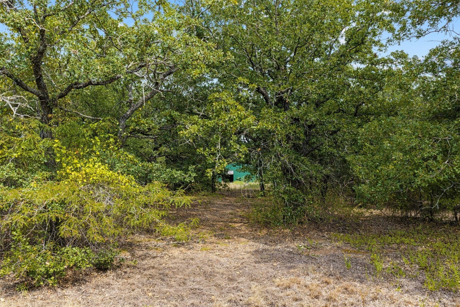 3.63 acres in McLennan County - photo 14