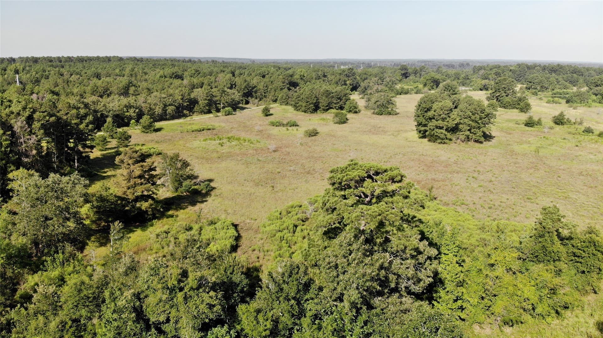 75.84 acres in Panola County - photo 9