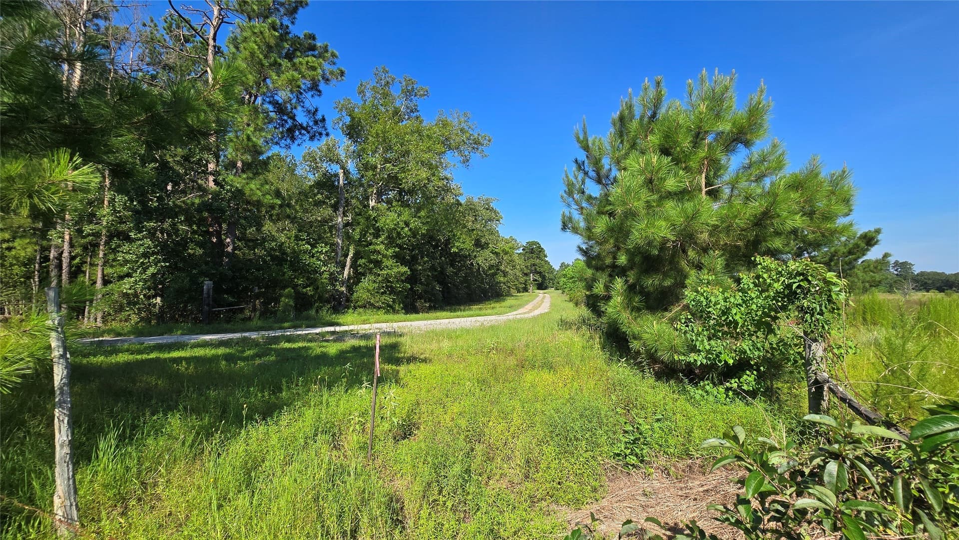 75.84 acres in Panola County - photo 5