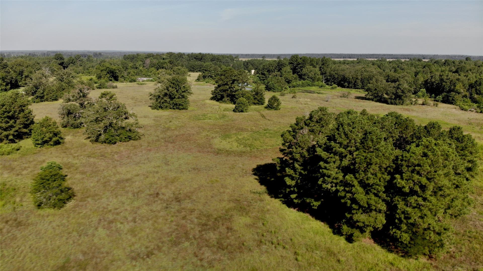 75.84 acres in Panola County - photo 12