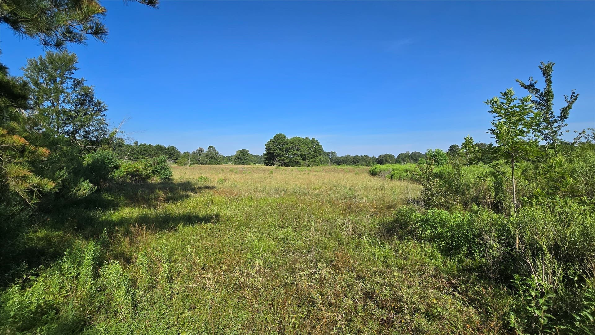 75.84 acres in Panola County - photo 3