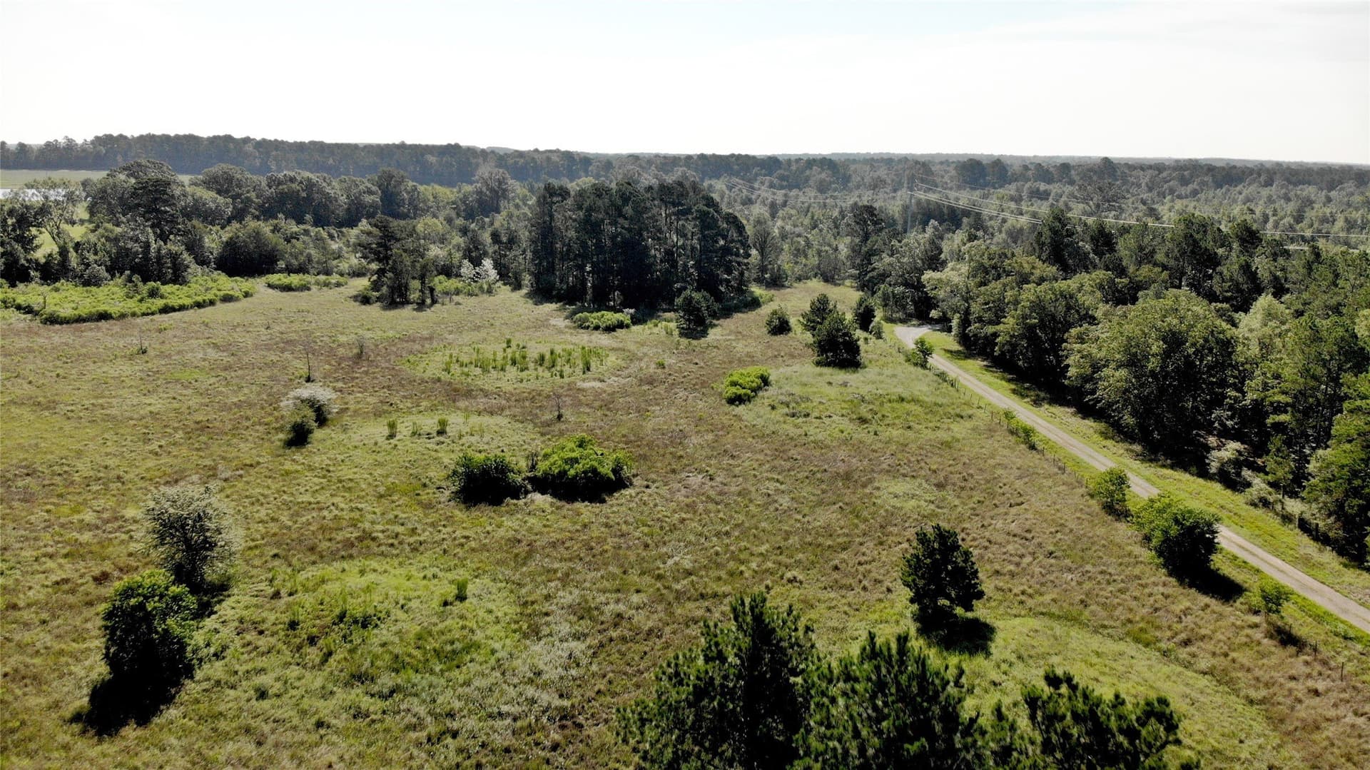 75.84 acres in Panola County - photo 11