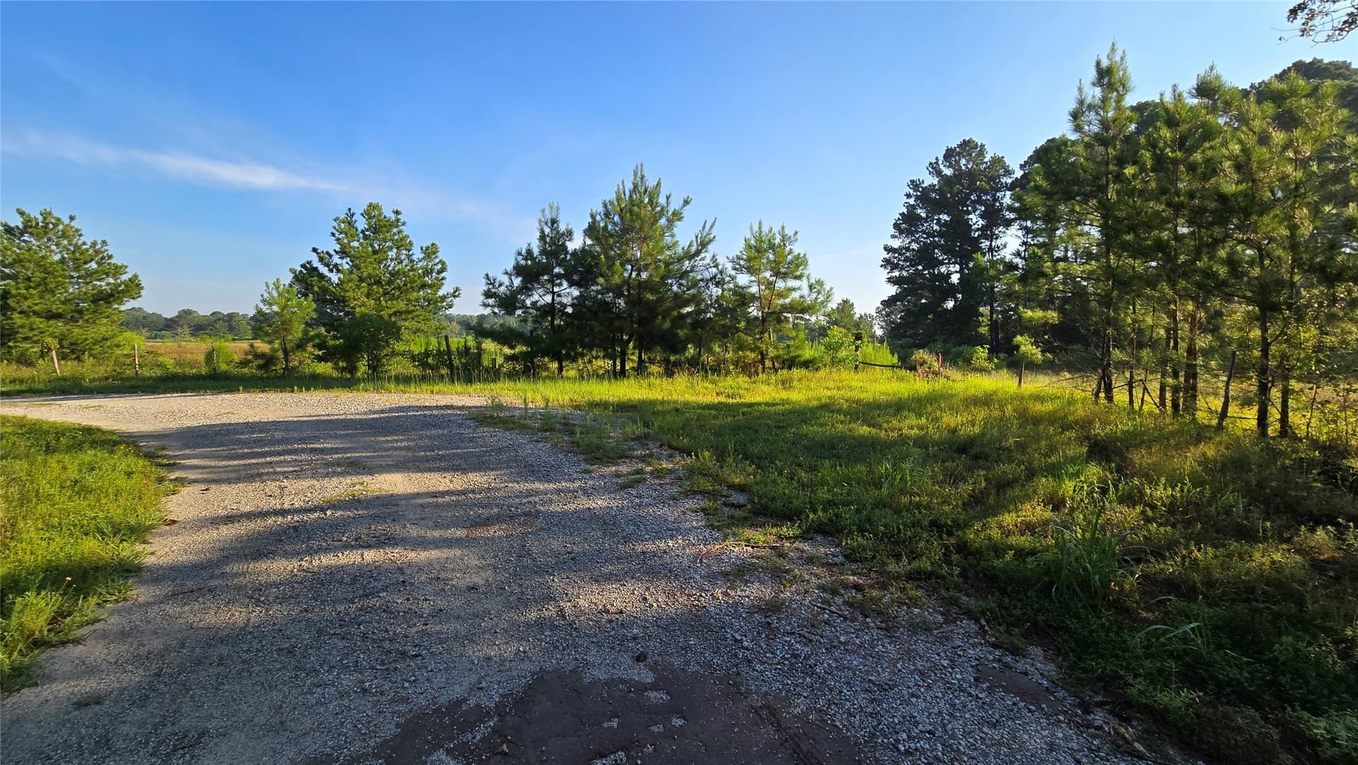 75.84 acres in Panola County
