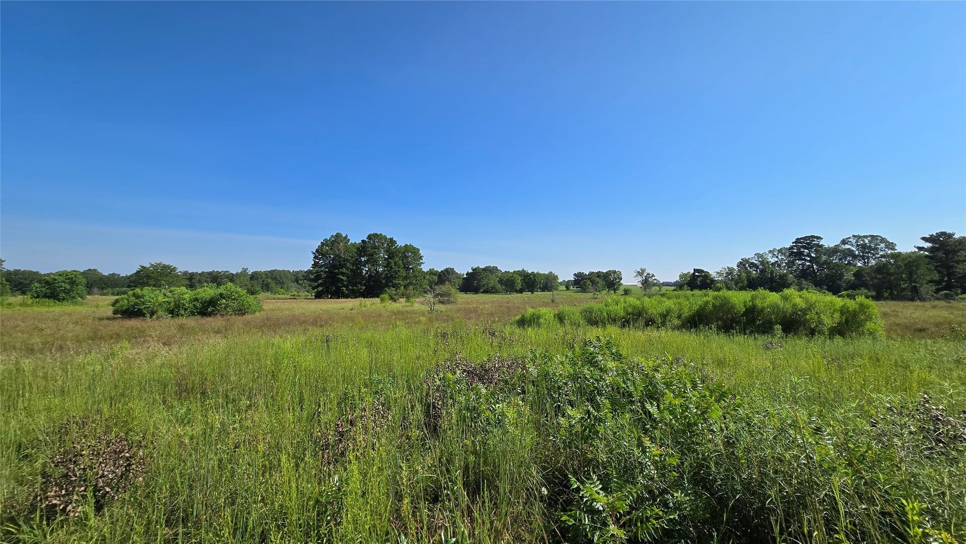 75.84 acres in Panola County - photo 7