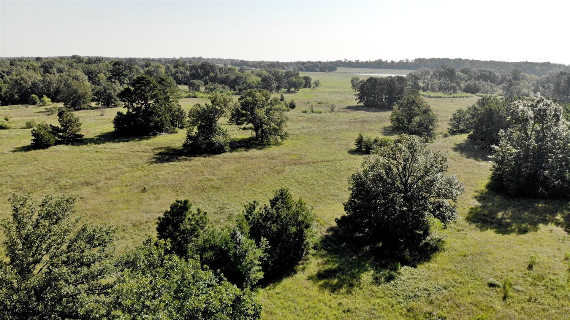 75.84 acres in Panola County - photo 10