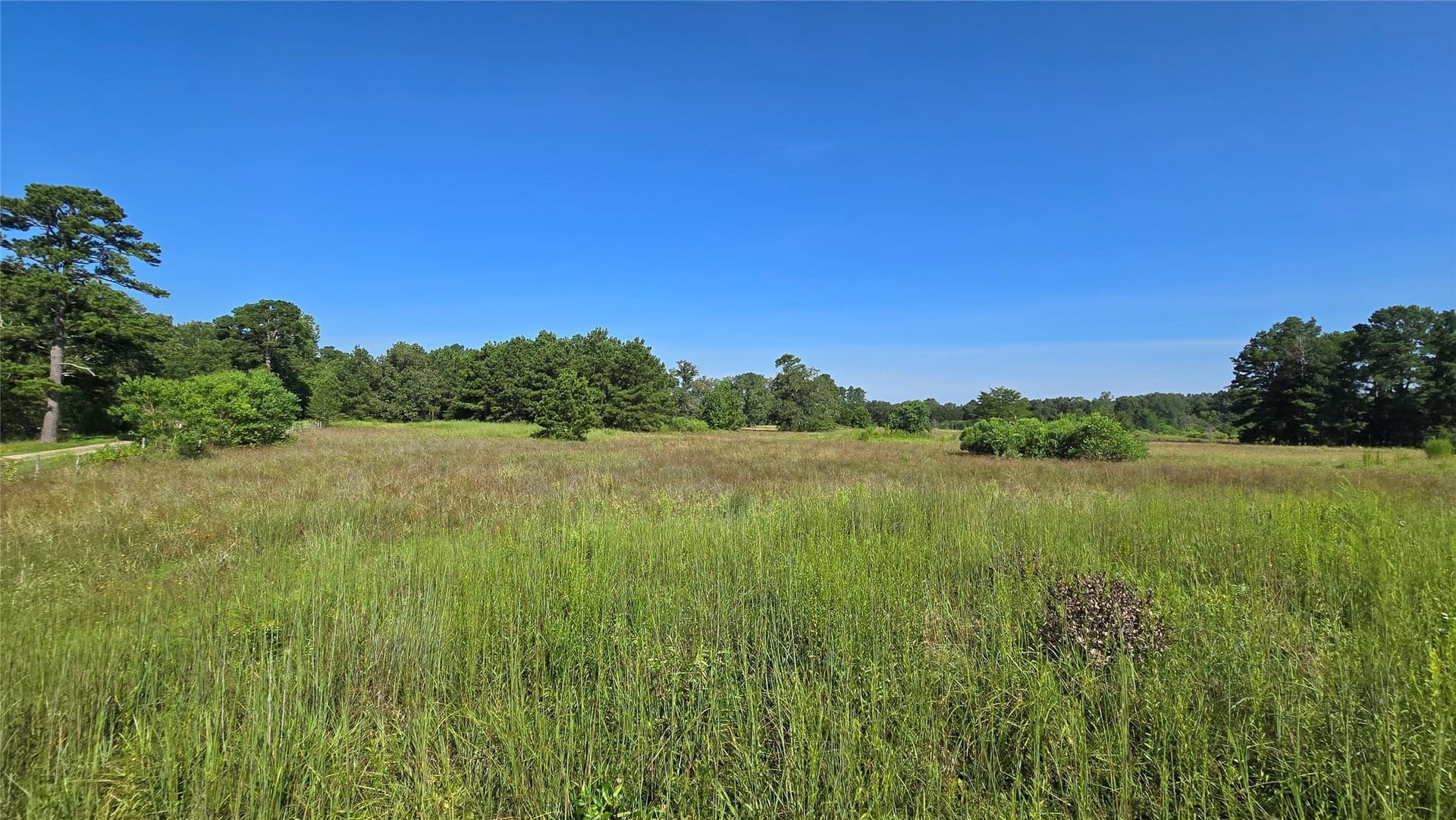 75.84 acres in Panola County - photo 6