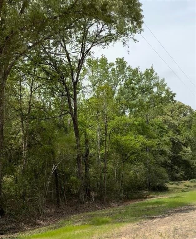10.19 acres in Leon County featured view