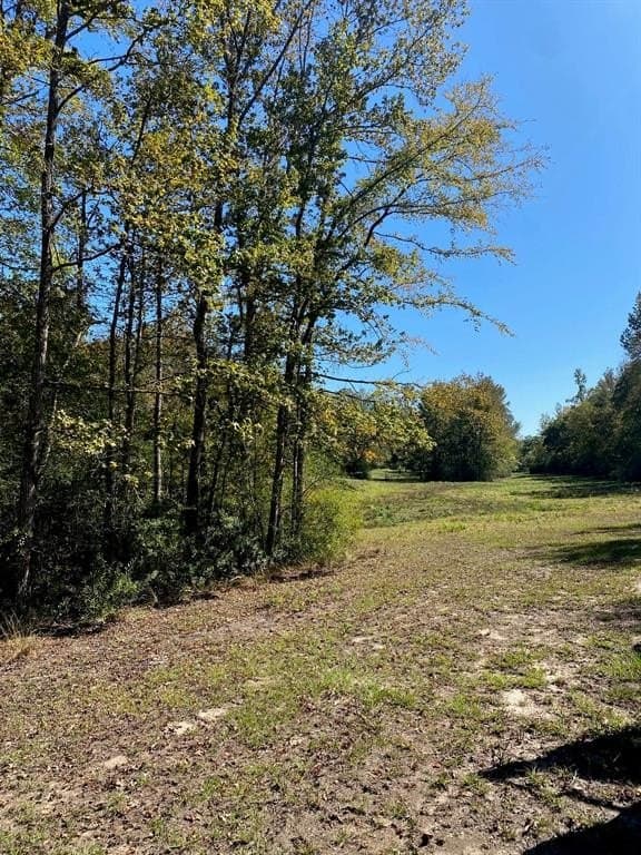 10.19 acres in Leon County gallery image 3