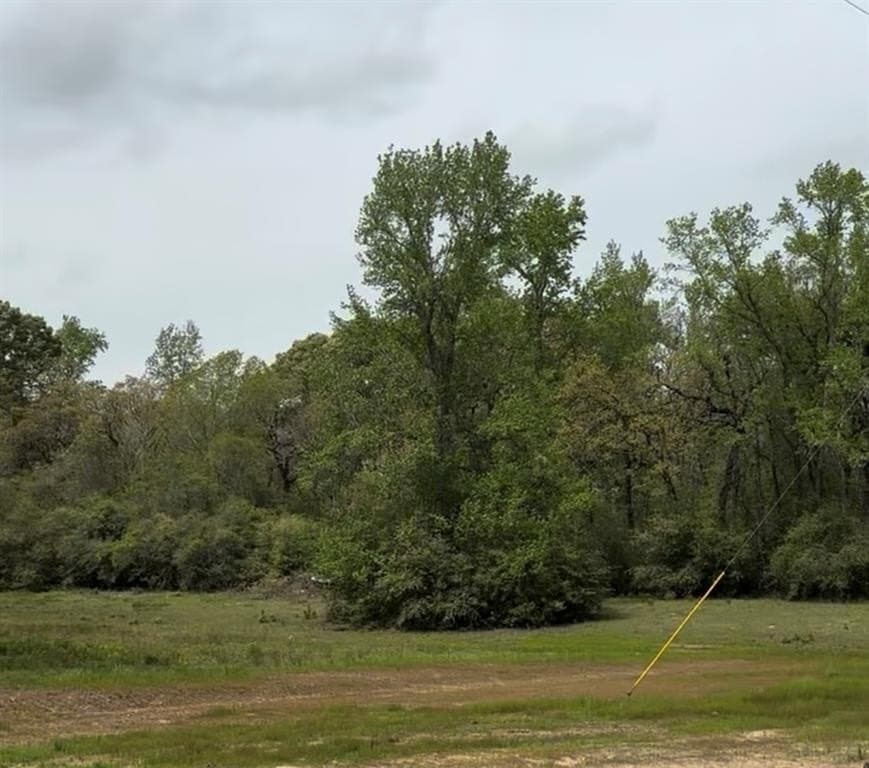 10.19 acres in Leon County gallery image 4