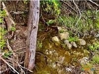 27.05 acres in Burnet County gallery image 3
