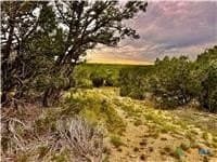 27.05 acres in Burnet County gallery image 4