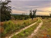 27.05 acres in Burnet County gallery image 2
