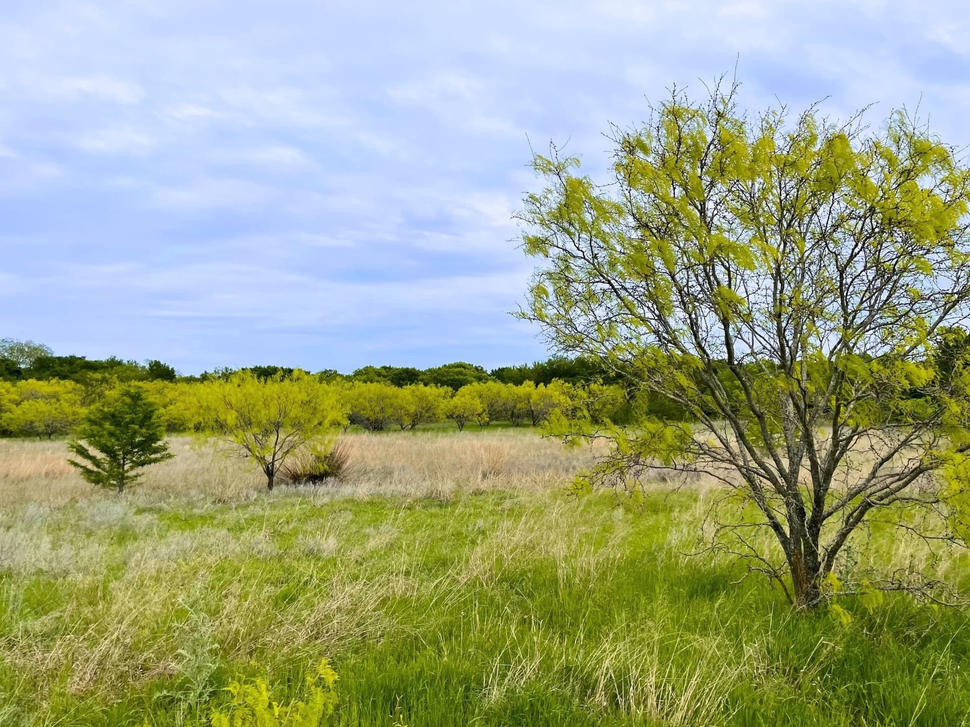 40.52 acres in Hood County - photo 8