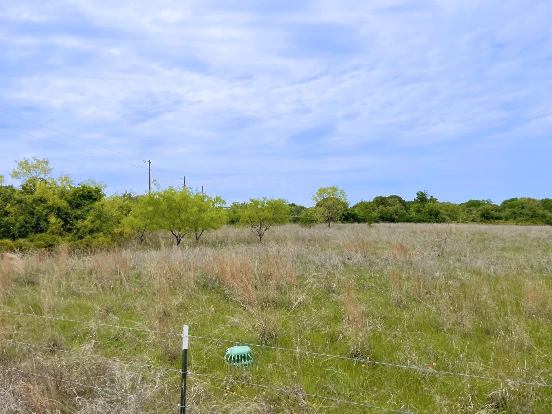 40.52 acres in Hood County - photo 7
