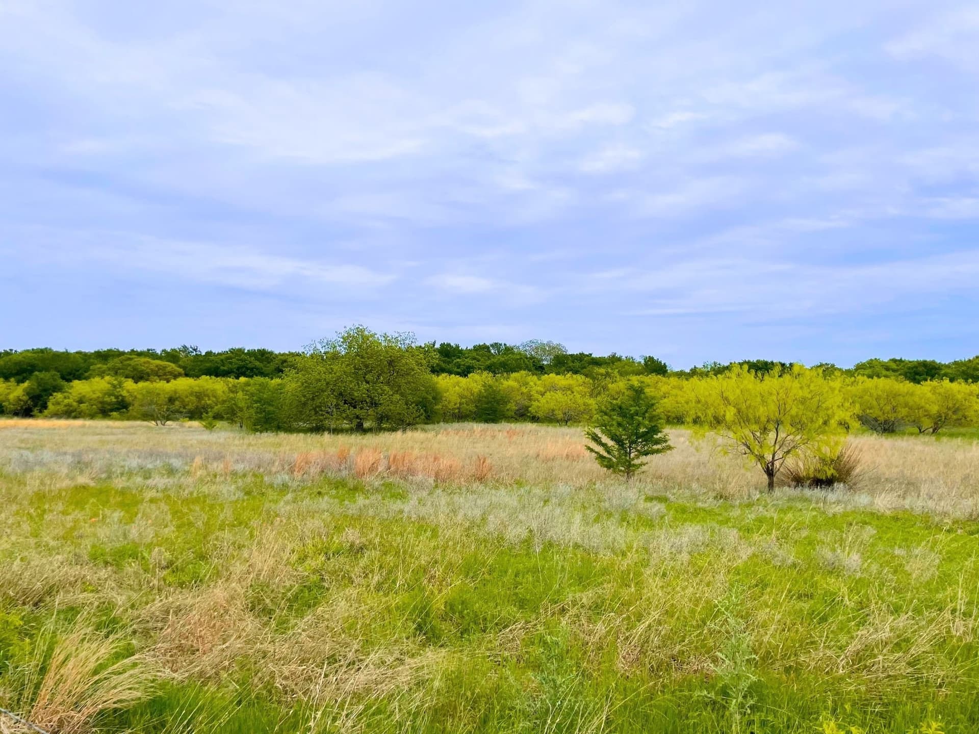 40.52 acres in Hood County - photo 6