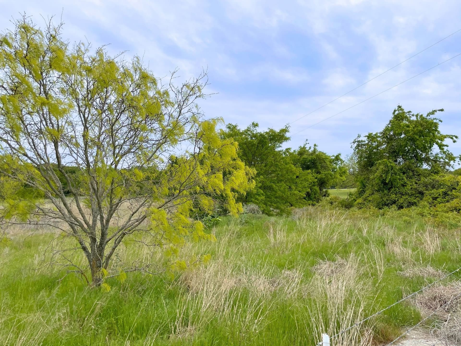 40.52 acres in Hood County - photo 9