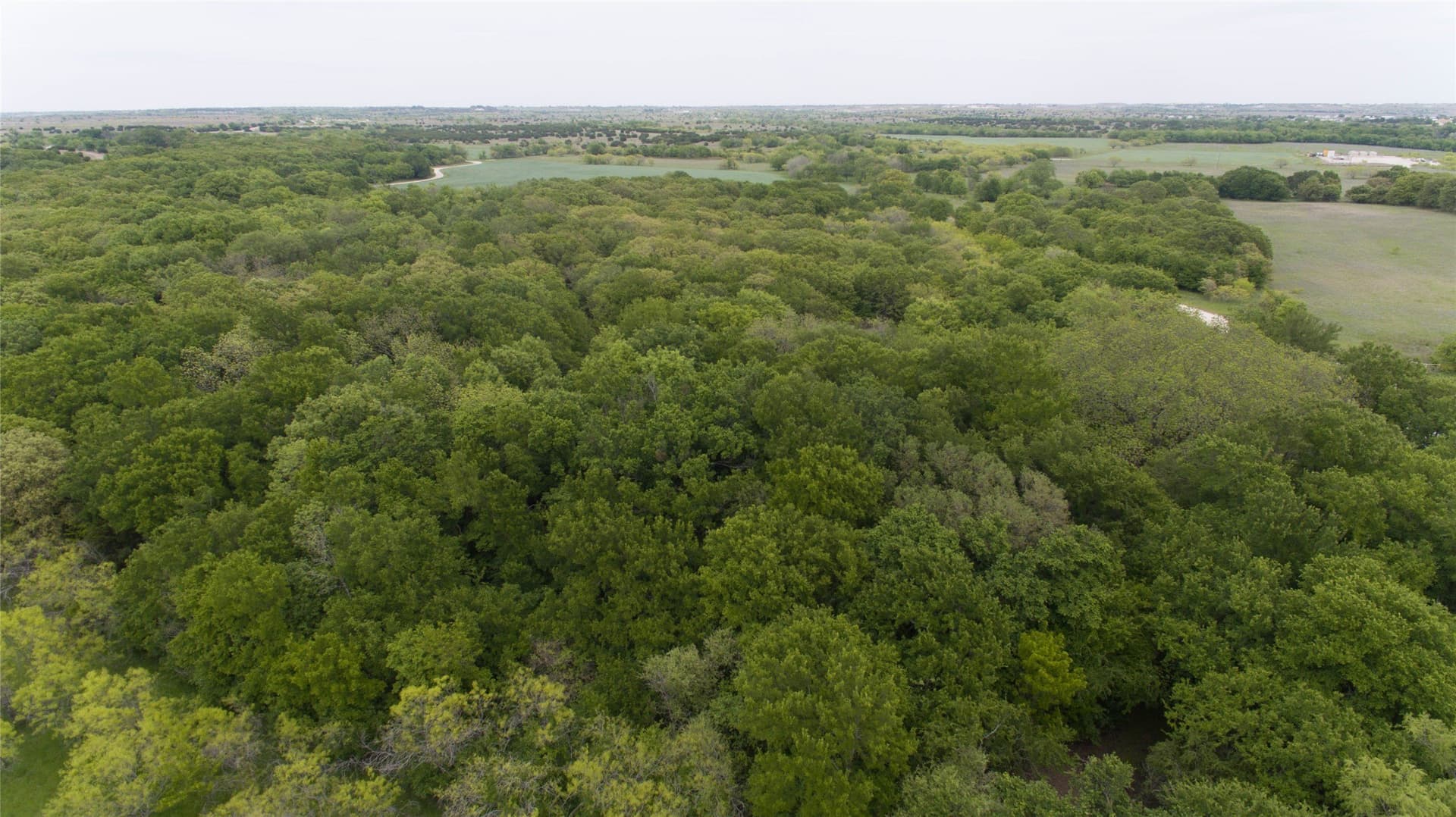 40.52 acres in Hood County - photo 12