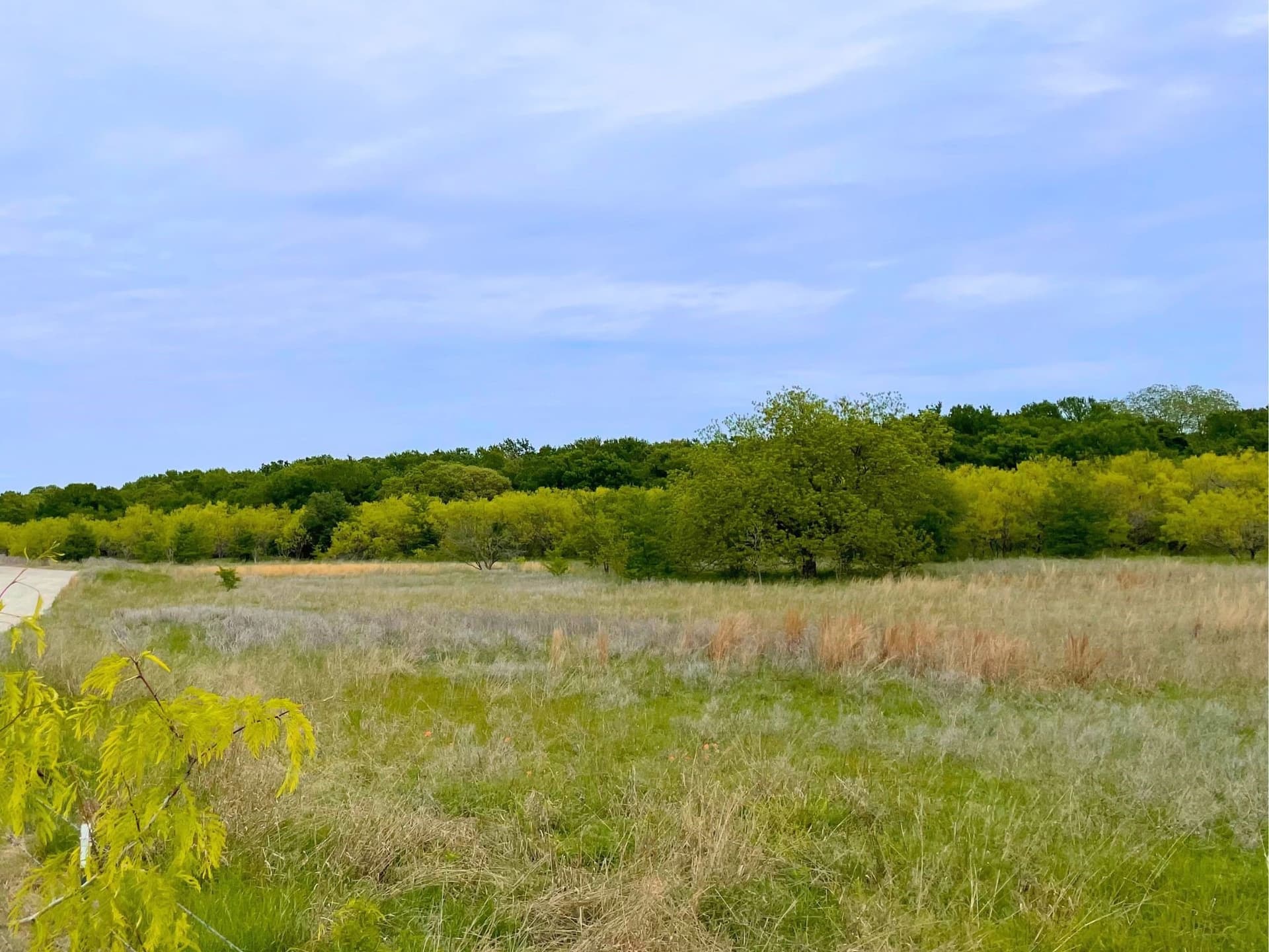 40.52 acres in Hood County featured view