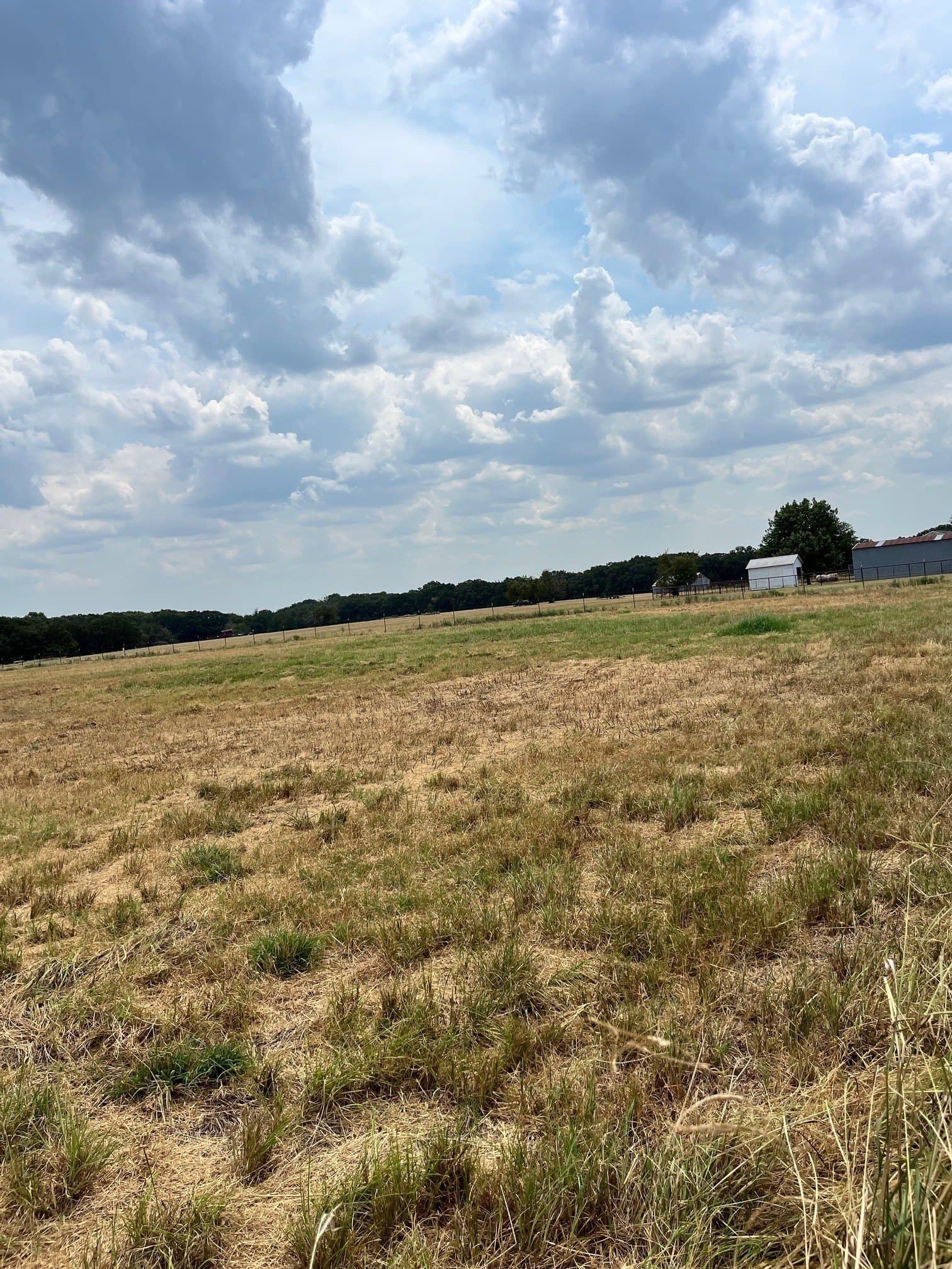 2 acres in Fannin County - photo 4