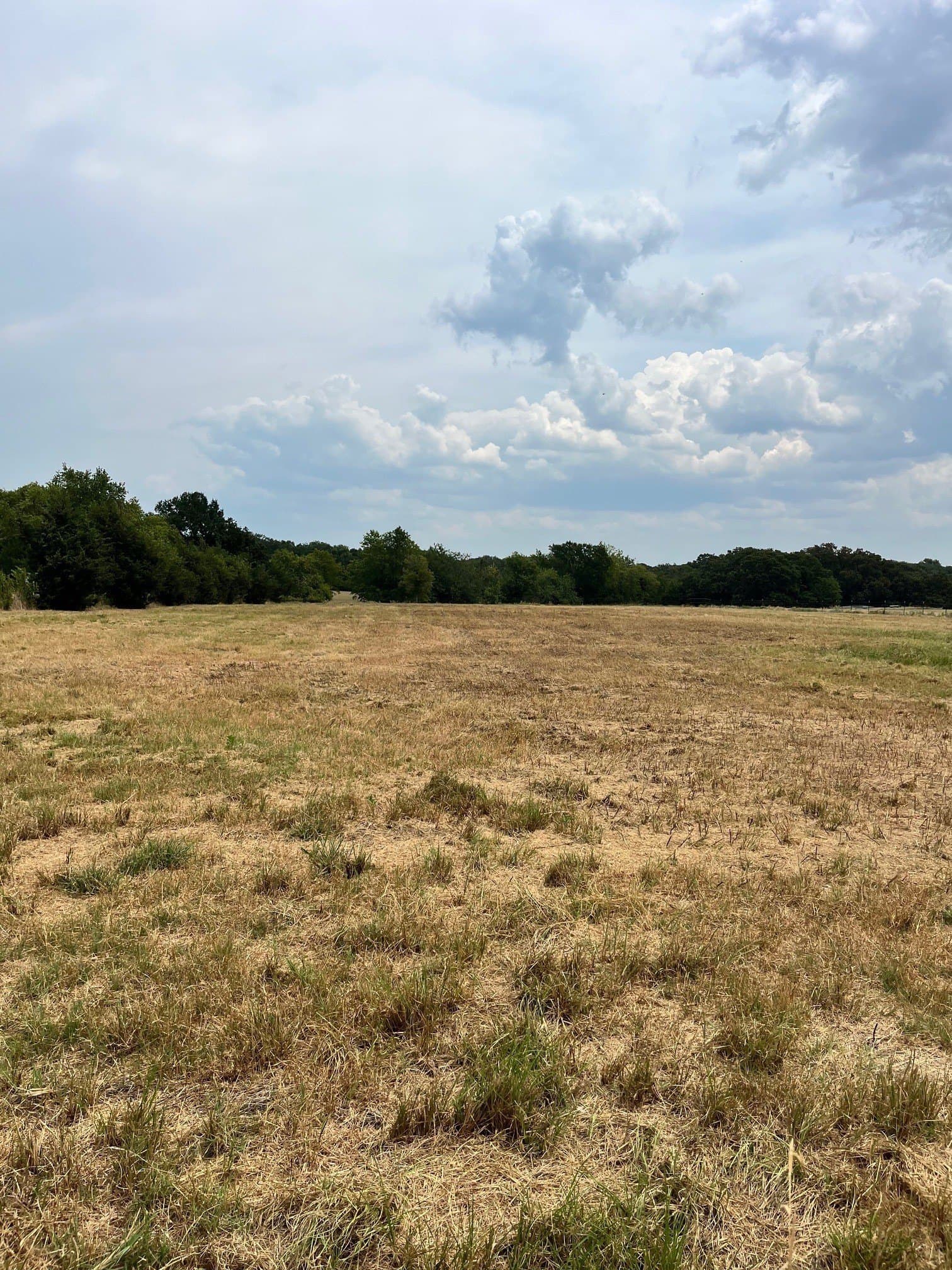 2 acres in Fannin County