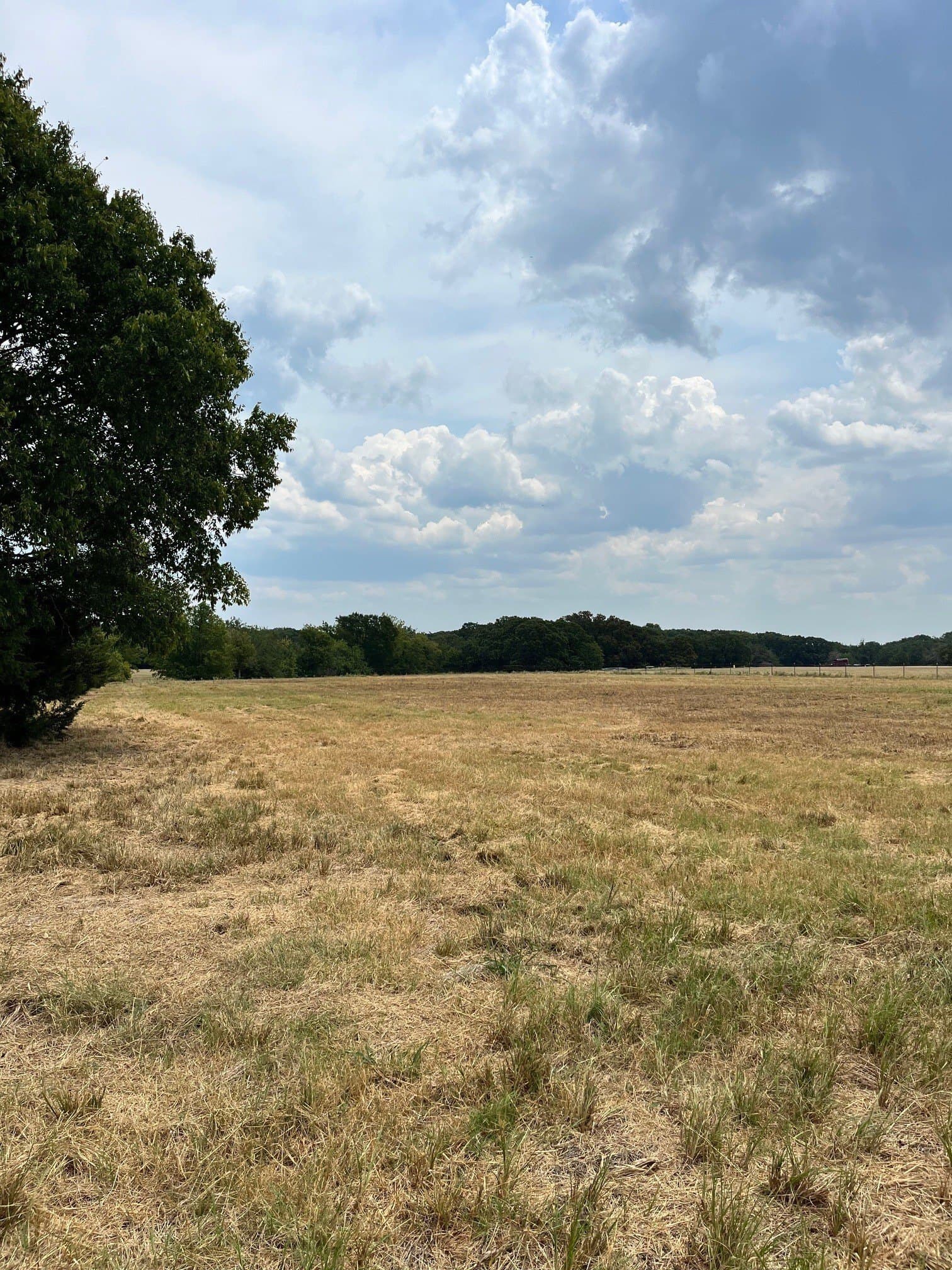 2 acres in Fannin County - photo 2