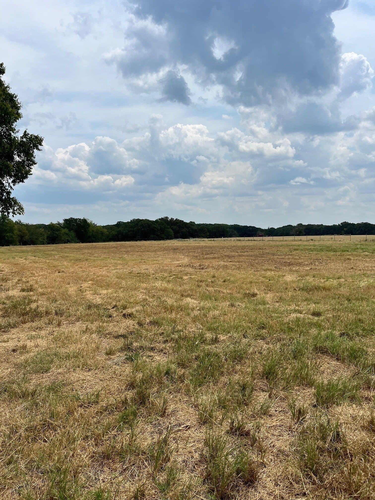 2 acres in Fannin County - photo 3