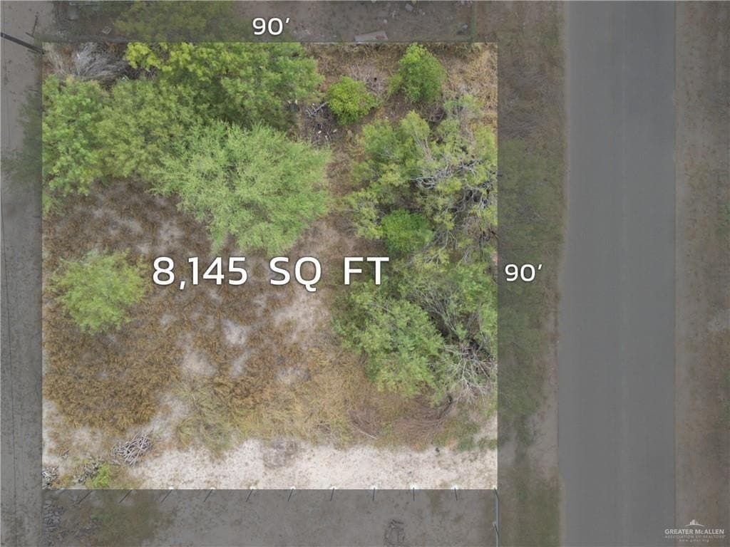 0.19 acres in Hidalgo County gallery image 2