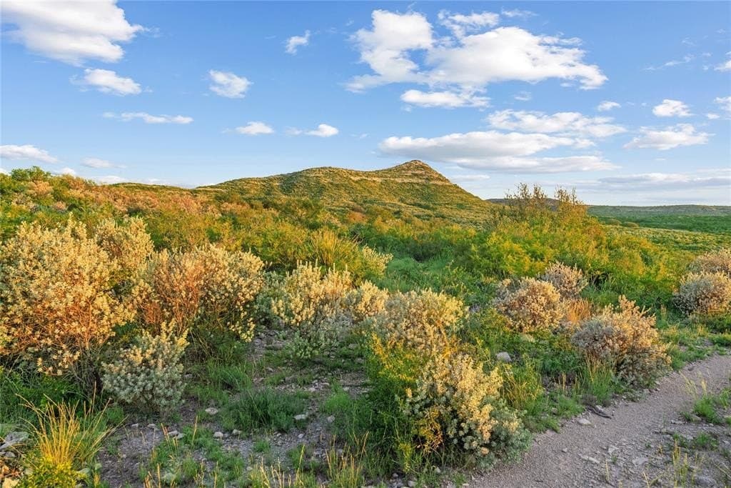 7,532 acres in Uvalde County gallery image 4