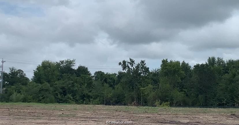 1.01 acres in Brazos County - photo 9