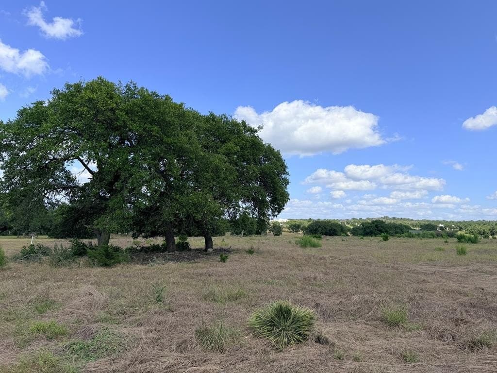 5.08 acres in Kerr County gallery image 4