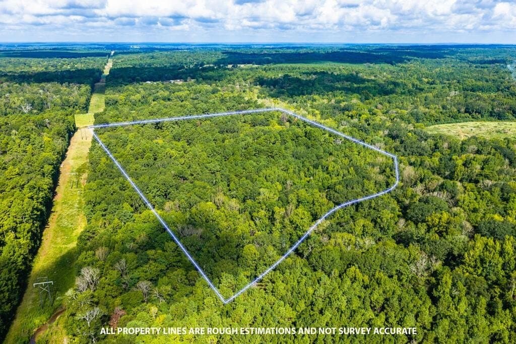 25 acres in Texas County - photo 2