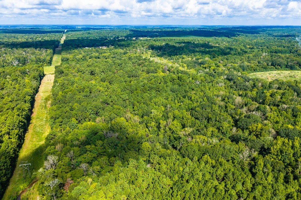 25 acres in Texas County - photo 4