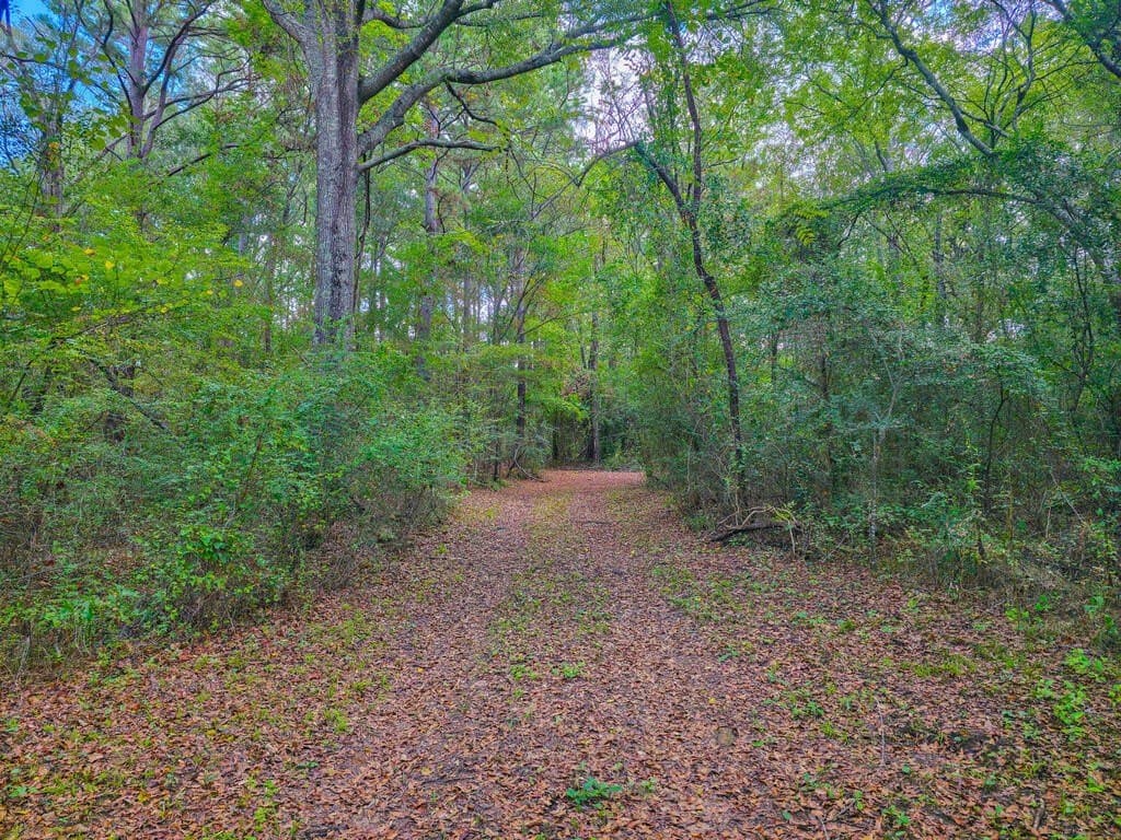 25 acres in Texas County - photo 7