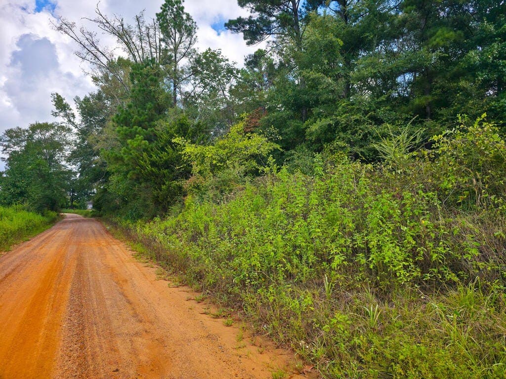 25 acres in Texas County - photo 8