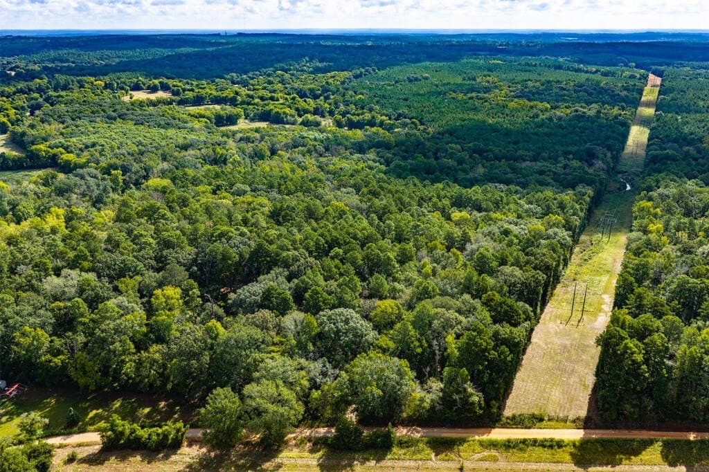 25 acres in Texas County - photo 3