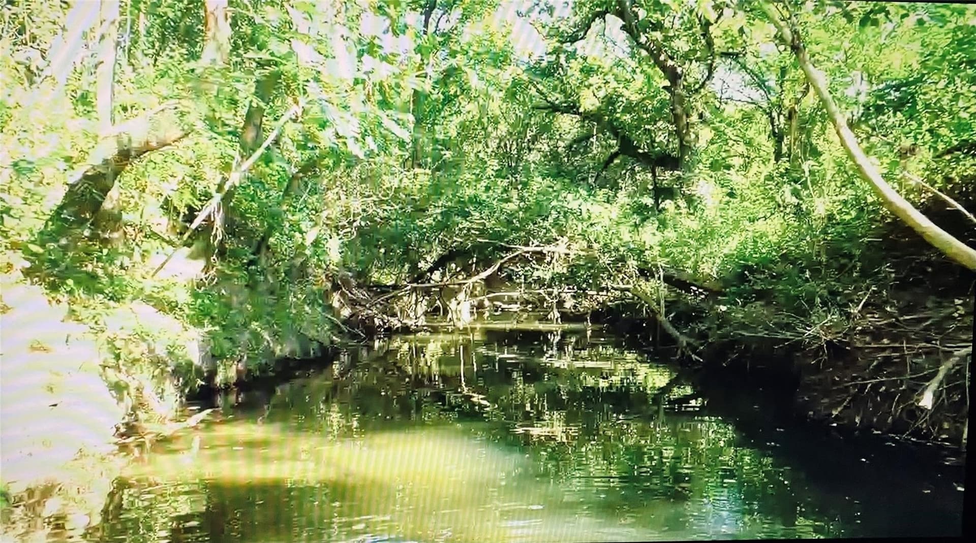 17.87 acres in Tarrant County - photo 22