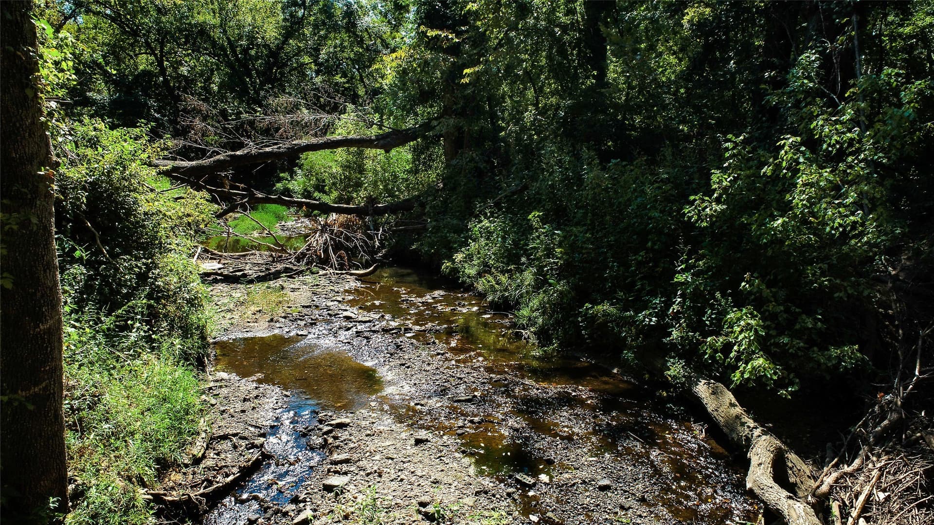 17.87 acres in Tarrant County - photo 23