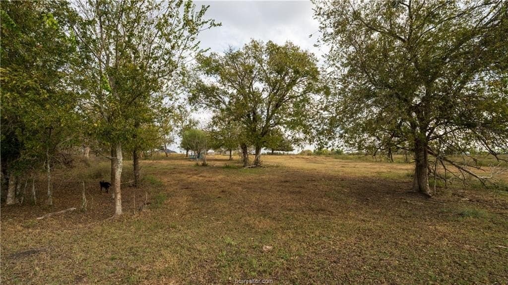 29.81 acres in Washington County - photo 11