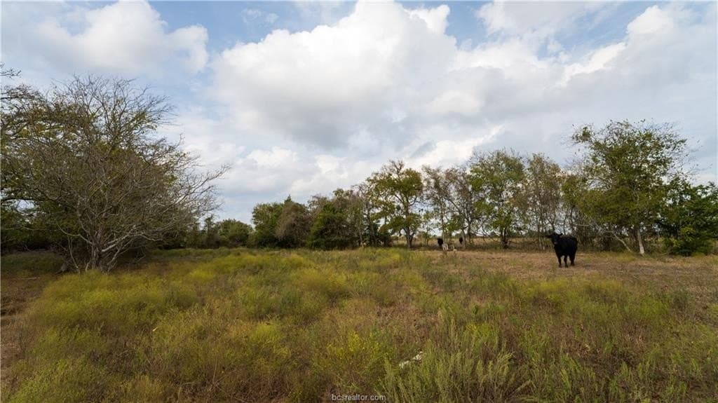 29.81 acres in Washington County - photo 14