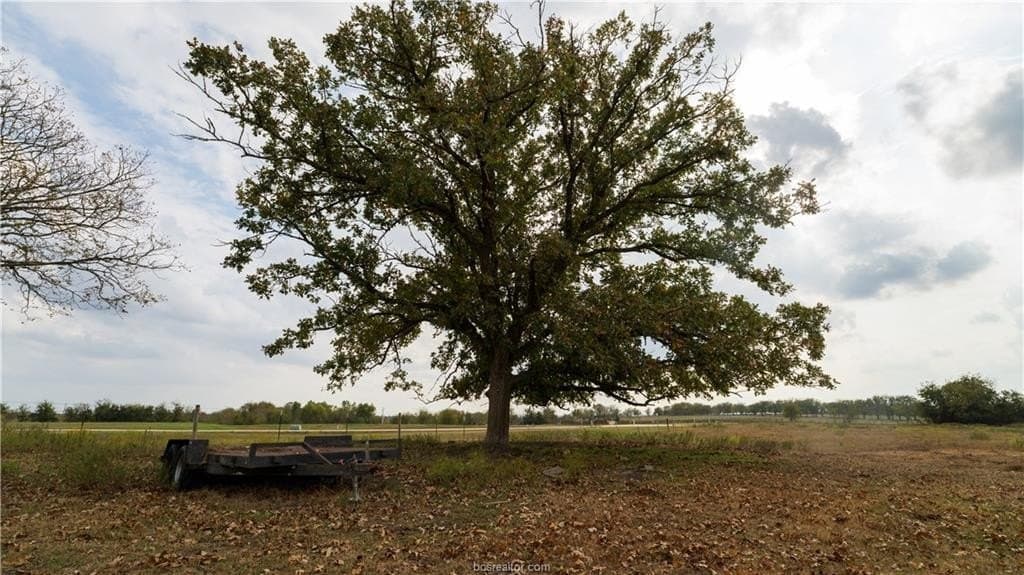 29.81 acres in Washington County - photo 12