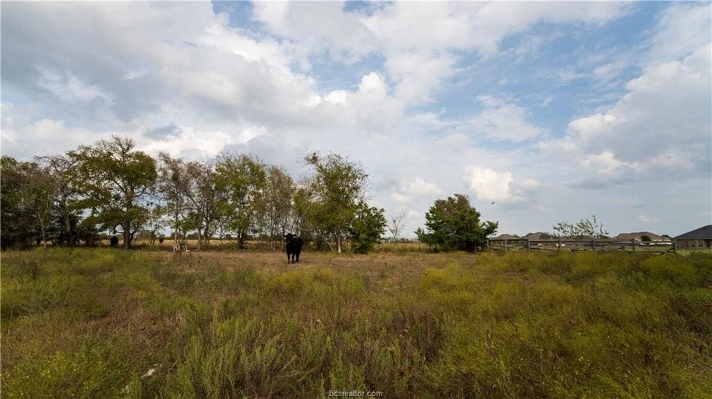 29.81 acres in Washington County - photo 13