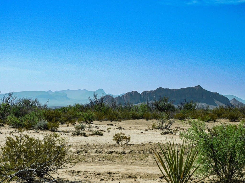 20 acres in Brewster County featured view