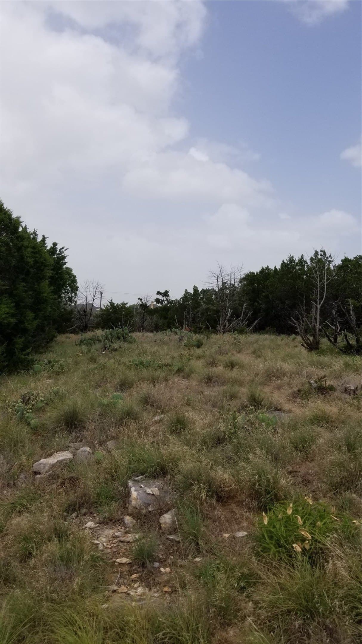 0.21 acres in Palo Pinto County featured view