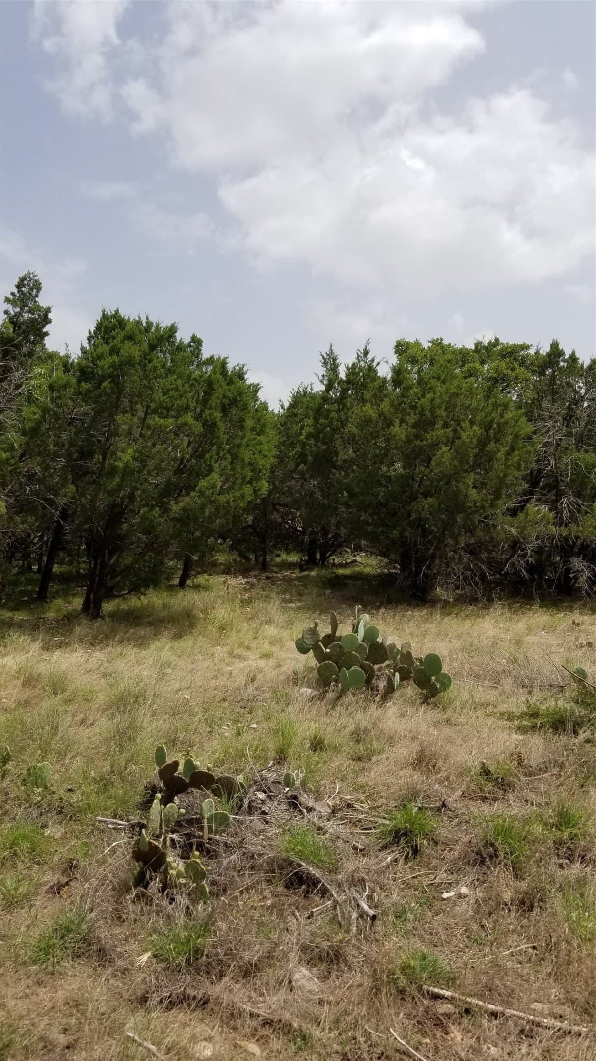 0.21 acres in Palo Pinto County - photo 26