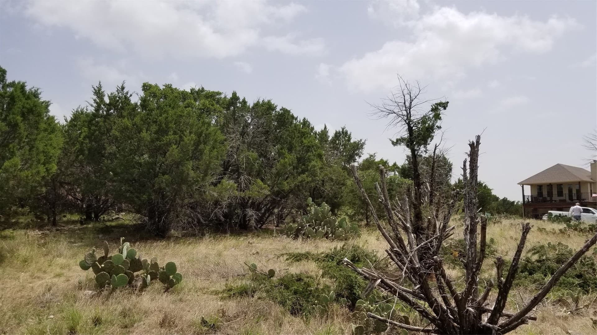 0.21 acres in Palo Pinto County - photo 7