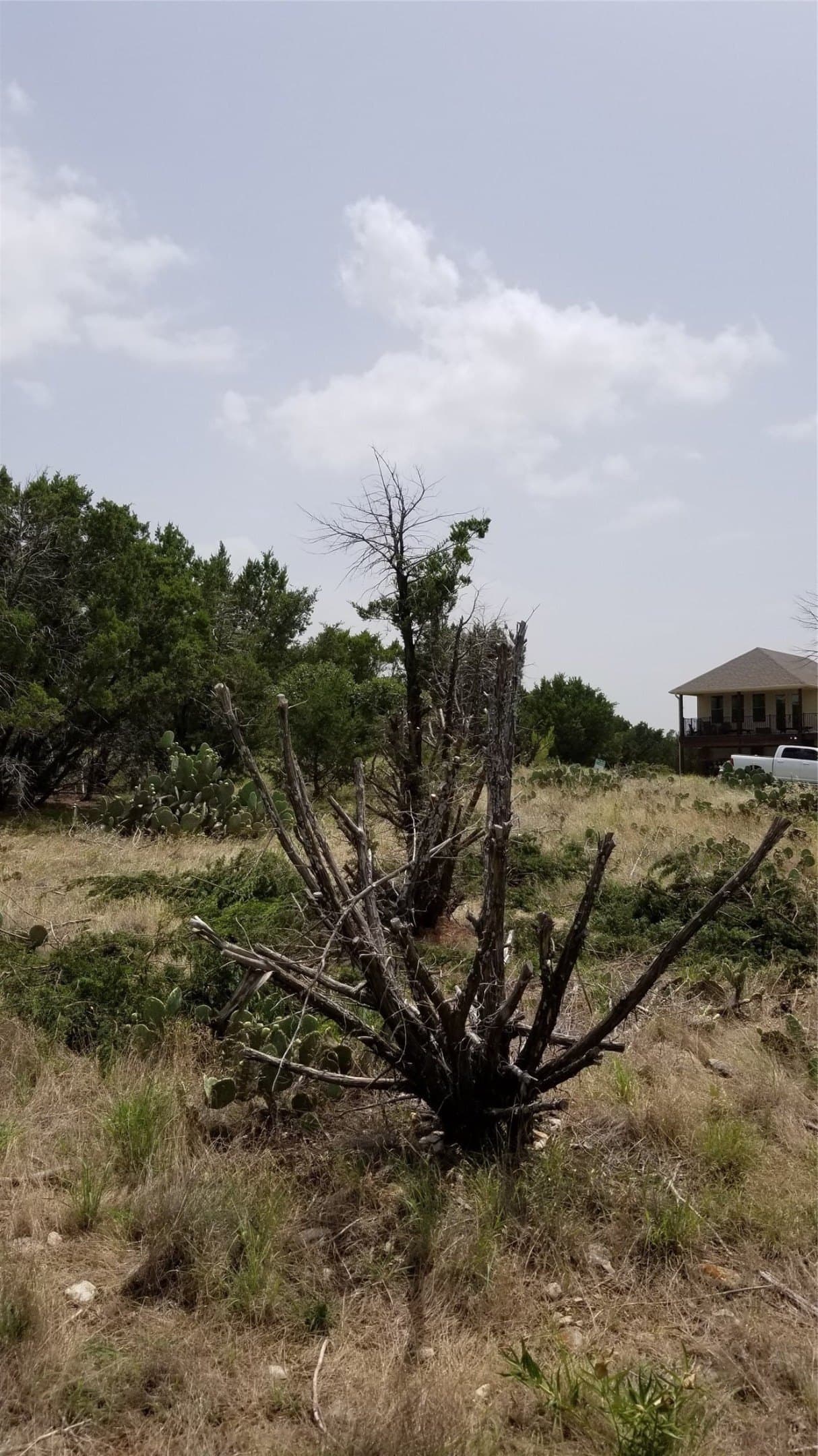 0.21 acres in Palo Pinto County - photo 24