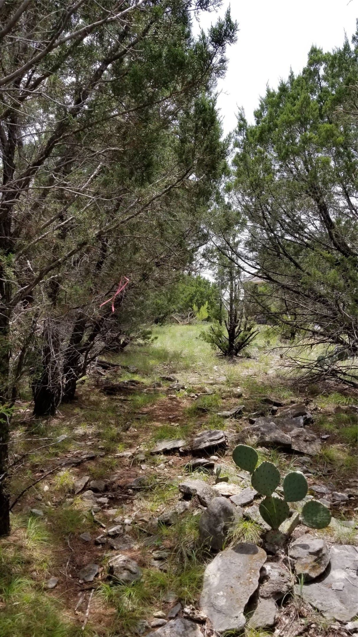 0.21 acres in Palo Pinto County - photo 31