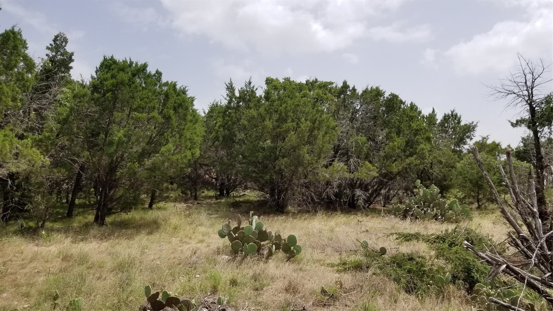 0.21 acres in Palo Pinto County - photo 28