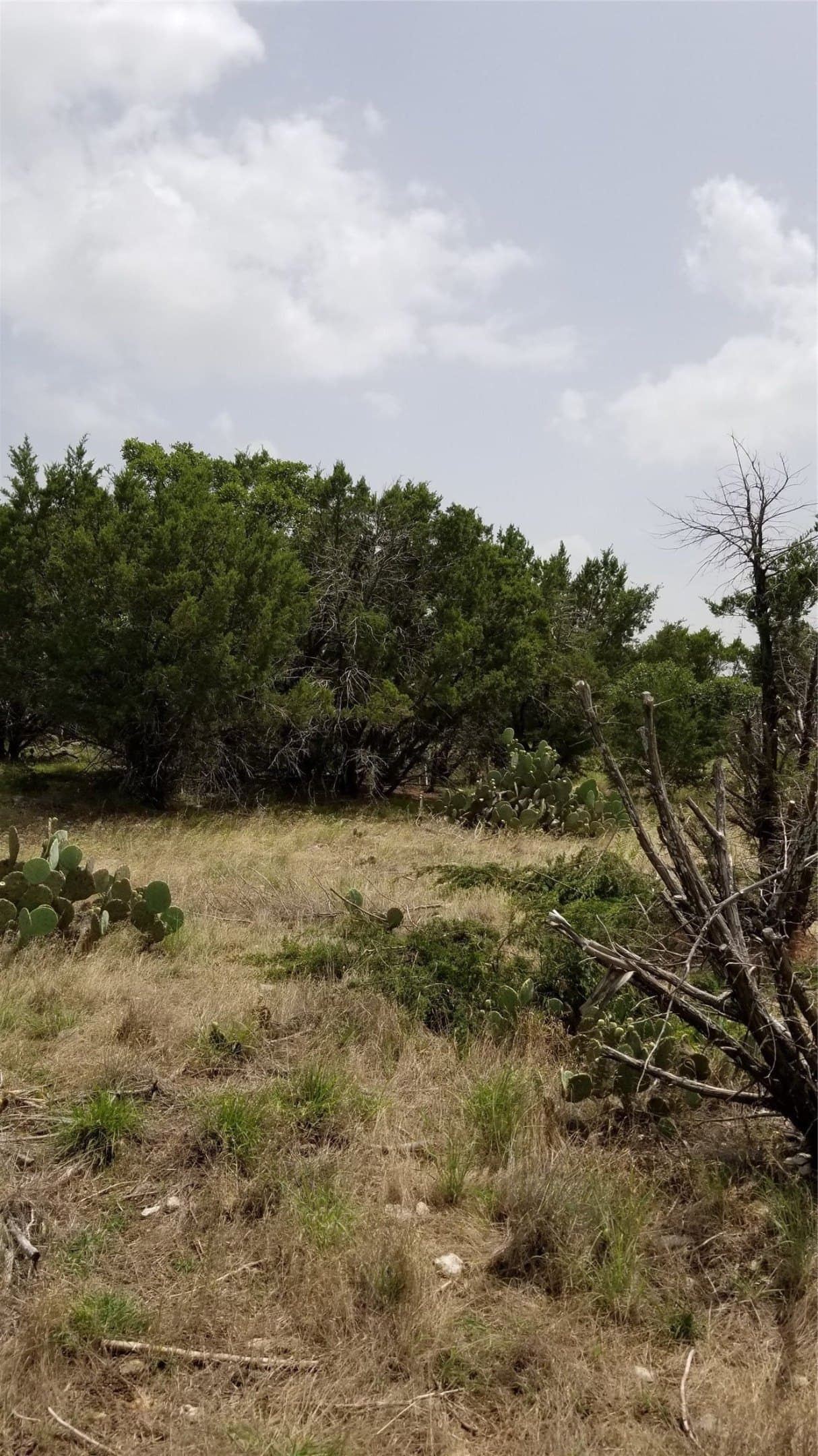 0.21 acres in Palo Pinto County - photo 25