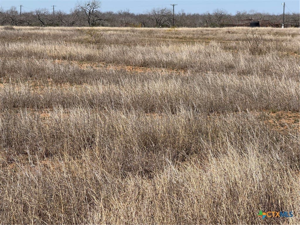 11 acres in Atascosa County